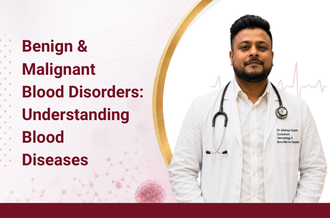 Blood disorders illustration representing hematology care by Dr. Adamya Gupta, Hemato-Oncologist in Raipur.