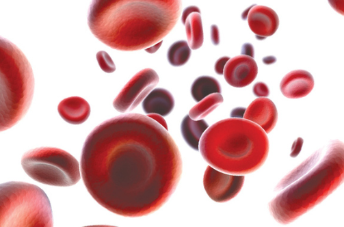 graphic illustration of hemophilia treatment raipur | best hematologist in raipur | dr adamya gupta