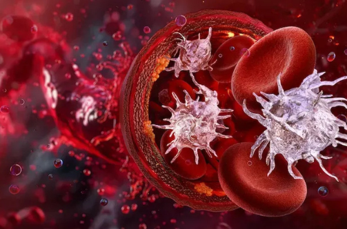polycytopenia treatment raipur | dr adamya gupta | hematologist