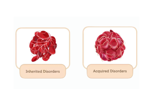 Hypercoagulable Disorders (Thrombophilia) Treatment raipur | dr adamya gupta | hematologist raipur blog cover pic